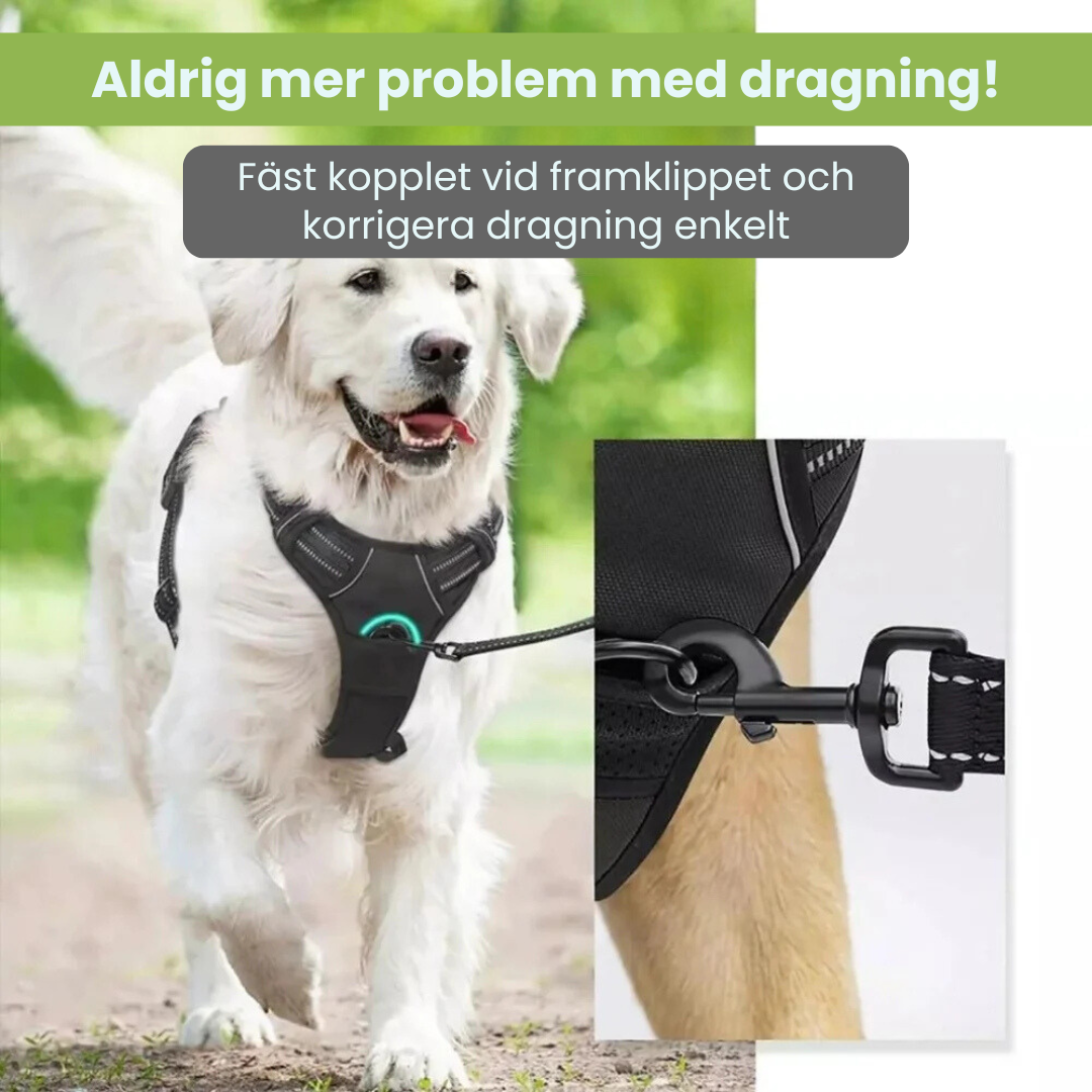 TrueSafe™ | Anti-drag Hundsele