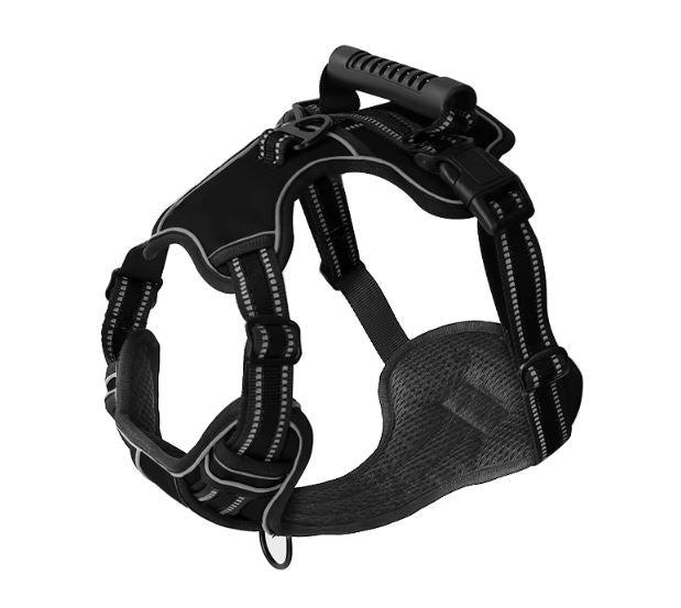 TrueSafe™ | Anti-drag Hundsele