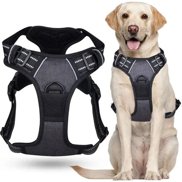 TrueSafe™ | Anti-drag Hundsele