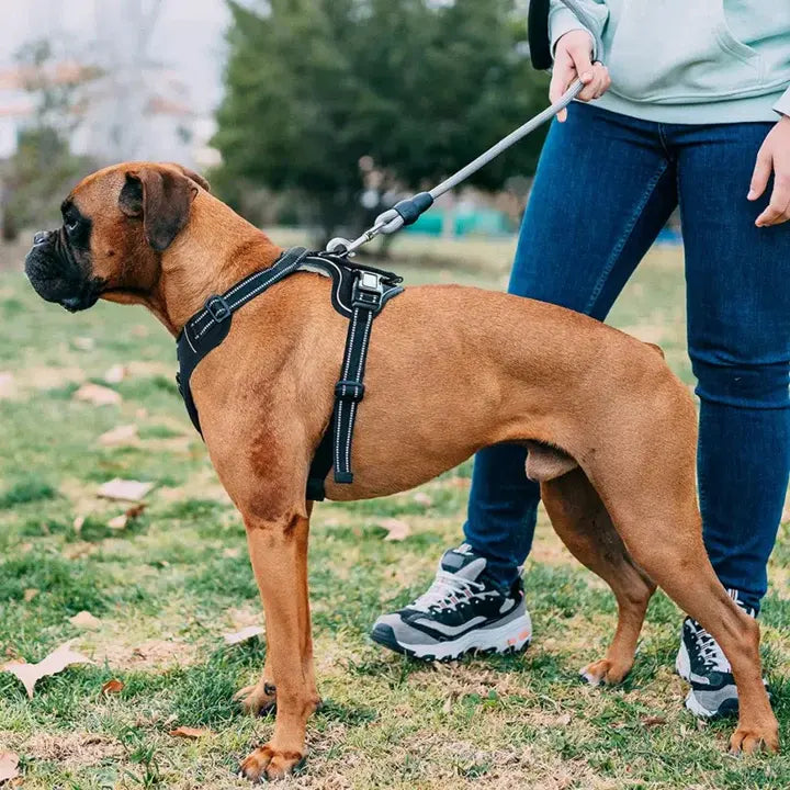 TrueSafe™ | Anti-drag Hundsele